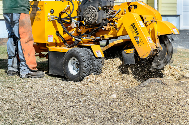 How To Keep Stump Grinder Teeth Sharp For Long blogAugersBlog